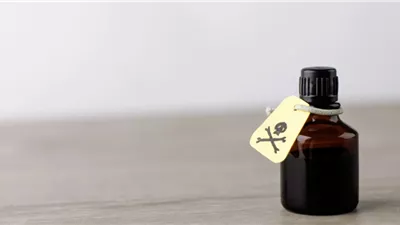 تفسير حلم تناول السم في المنام وعلاقته بالشفاء من الأمراض وطول العمر 