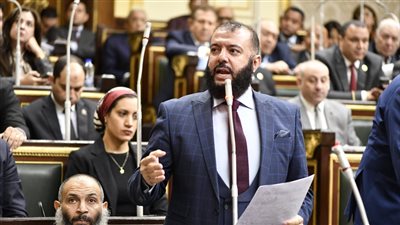 رئيس برلمانية النور: تهجير الفلسطينين إعلان حرب على دول الجوار