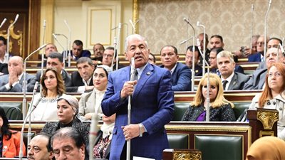 رئيس دفاع النواب: تهجير الفلسطينيين يضر بأمن مصر والعدو الصهيوني جبان 