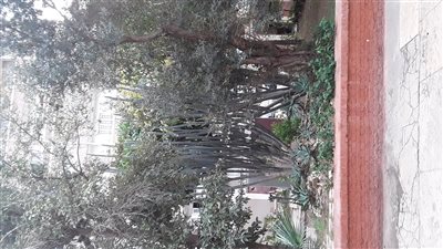 استقرار الأحوال الجوية فى الإسكندرية 