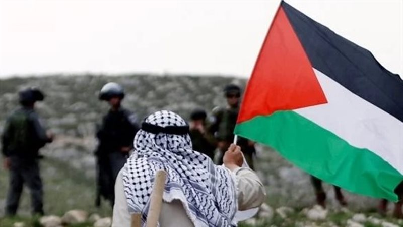فلسطين، فيتو