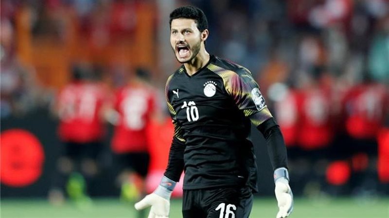 الشناوي،فيتو