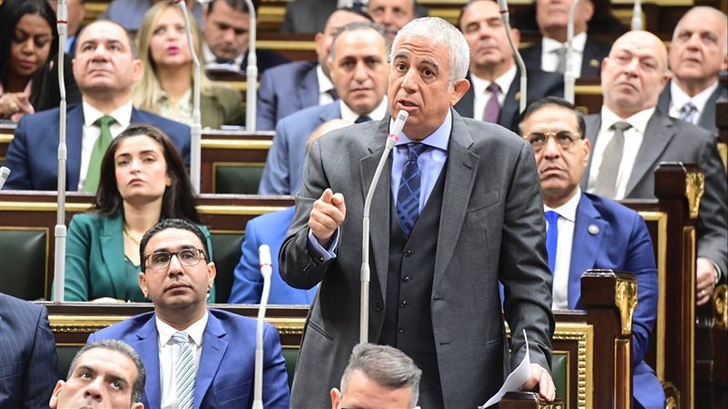 رئيس خارجية النواب