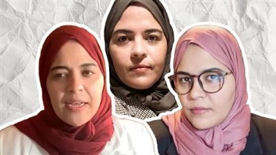 داليا زيادة كمان وكمان، الناشطة الحقوقية تدعم إسرائيل مجددا في حربها على غزة وتلتقي مسؤولين صهاينة، تحرض على مصر وشعبها