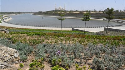 مشروع الحدائق المركزية بالعاصمة الإدارية يحصل على جائزة دولية