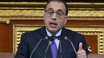  مصر تعلن موقفها من غزة والقضية الفلسطينية (إنفوجراف) 