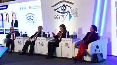 وزير المالية: ندرس طرح سندات خضراء وأخرى زرقاء