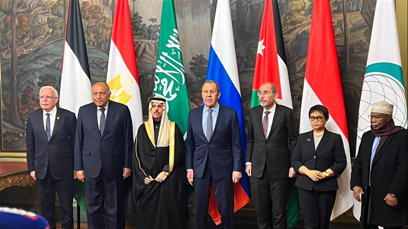 سامح شكرى وزير الخارجية،