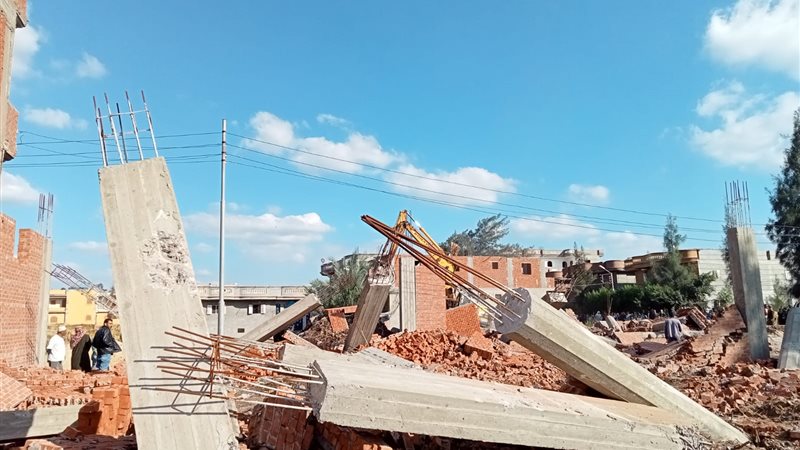 إزالة التعديات بالبحيرة،