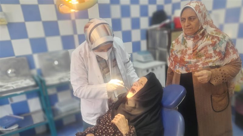 حملة سكانية بالبحيرة،فيتو