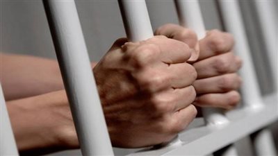 حبس تاجر سيارات قتل بائع بوظة بقرية الوحدة العربية في الدقهلية