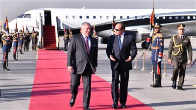 مصر والأردن تؤكدان ضرورة التوصل لوقف دائم لإطلاق النار ونفاذ المساعدات الإنسانية لأهالي غزة