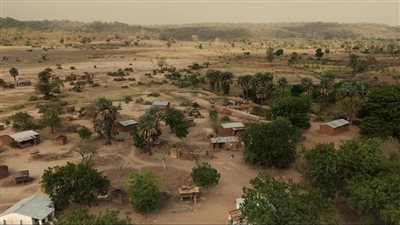 ديكسي ماكوالي، حكاية شاب ساهم في حماية متنزهات أفريقيا الوطنية (صور)