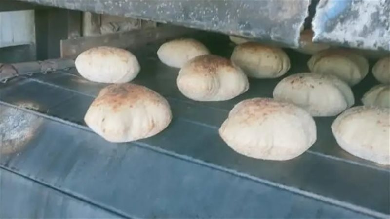الخبز البلدي،فيتو