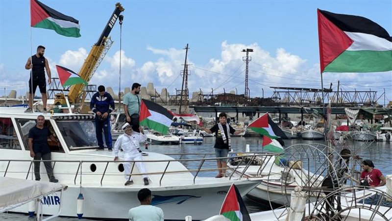 قوارب تركيا، فيتو