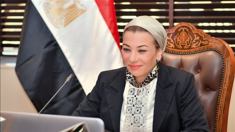 ياسمين فؤاد وزيرة