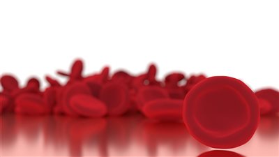  الثلاسيميا وفقر الدم، وما هي أعراضها وطرق علاجها؟