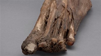 السياحة تسترد قطعا أثرية خرجت بطرق غير شرعية من نيوزيلندا (صور)