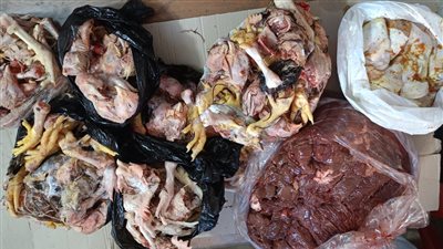 ضبط لحوم ودواجن وأسماك غير صالحة للاستهلاك الآدمي بالبحيرة