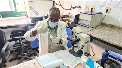 الكشف على 1082 مواطنا بقافلة طبية مجانية بالبحيرة