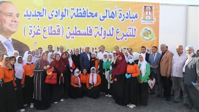 مستشار رئيس الجمهورية ومحافظ الوادي الجديد يتابعان مبادرة المحافظة للتبرع لغزة