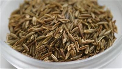 فوائد الكمون، يخفض مستوى السكر والضغط والكوليسترول بالدم ويعزز صحة القلب 