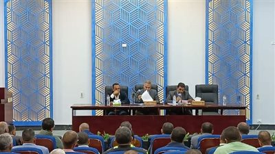 توجيهات وقرارات المجلس التنفيذي لمركز الداخلة بالوادي الجديد