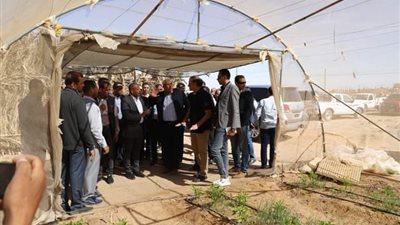 مستشار رئيس الجمهورية ومحافظ الوادي الجديد يتفقدان الصوب الزراعية بقرية أسمنت