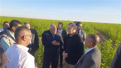 مستشار رئيس الجمهورية ومحافظ الوادي الجديد يتفقدان مبادرة الحرير الطبيعي والنخيل