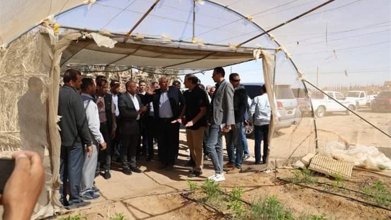 مشروع الصوب الزراعية،