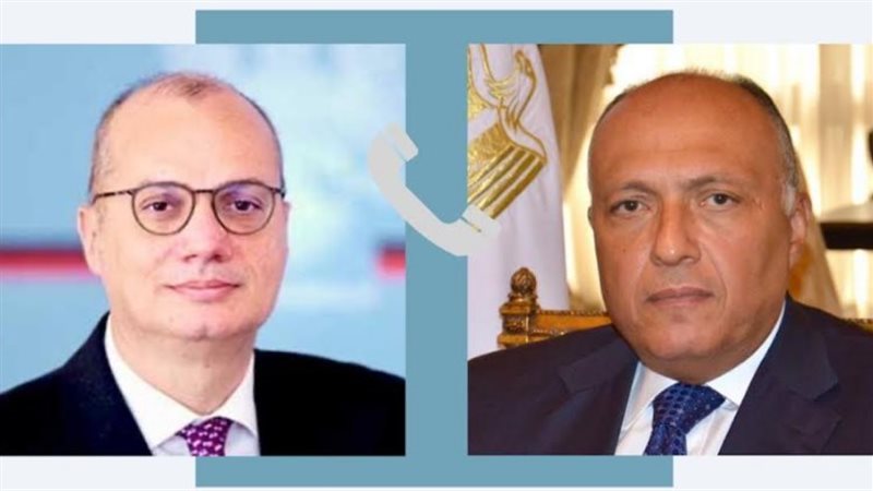 سامح شكري وإيجلي