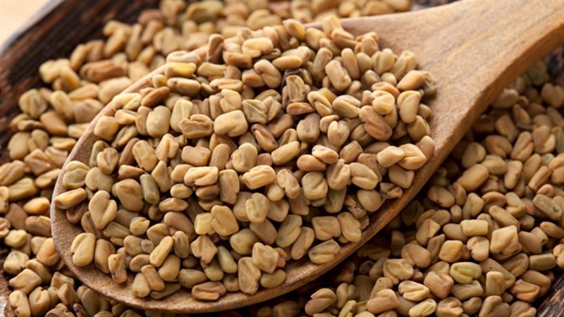 تفسير حلم الحلبة