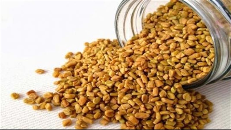 فوائد الحلبة الحصى،