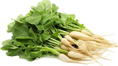 فوائد الفجل الأبيض، ينظم عملية الهضم وينقص الوزن