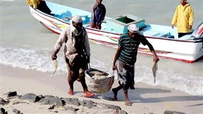 ما حكم أكل الكائنات البحرية من غير الأسماك؟ الإفتاء تجيب