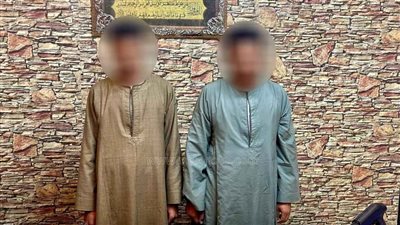 ضبط تشكيل عصابي بسوهاج وبحوزتهم كمية من المواد المخدرة والأسلحة