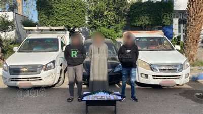 الأمن العام يضبط 17 متهما بالسرقة في 6 محافظات (صور) 