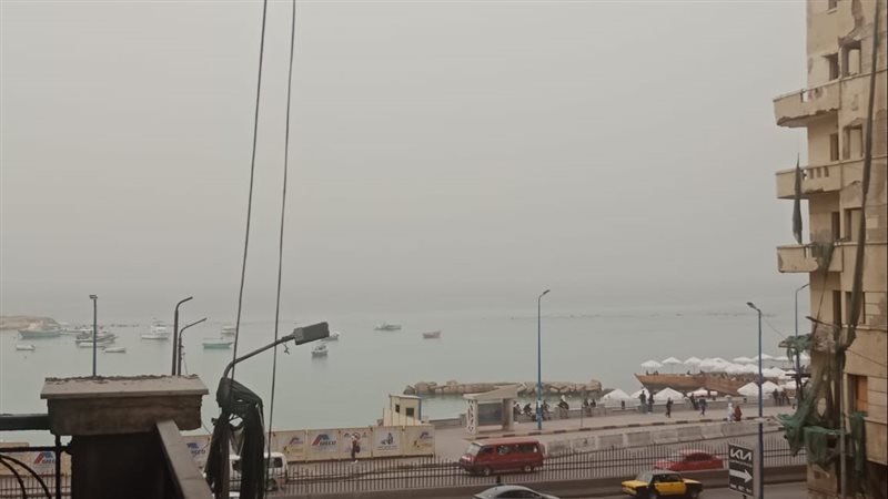 حالة الطقس، فيتو