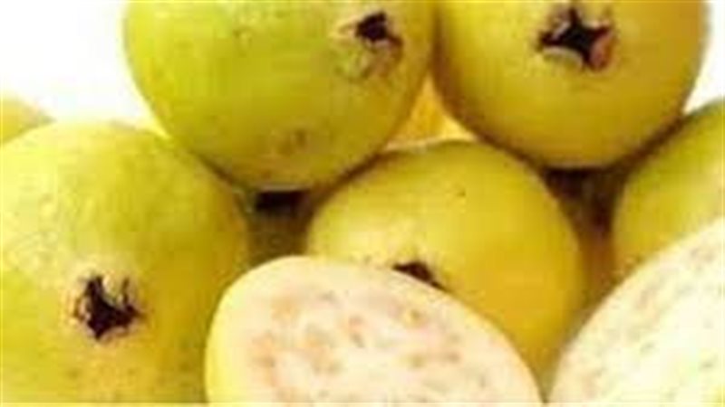 تفسير حلم الجوافة