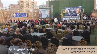 استمرار المؤتمرات الجماهيرية الداعمة للمرشح الرئاسي السيسي