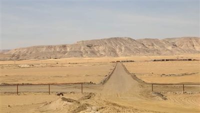 محافظ الوادي الجديد: إشهار أول ناديين للهجن والصيد 