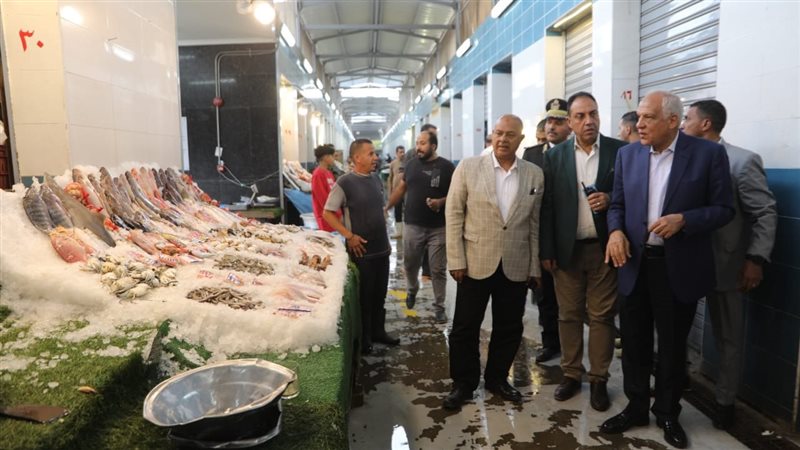 محافظ الجيزة في جولة
