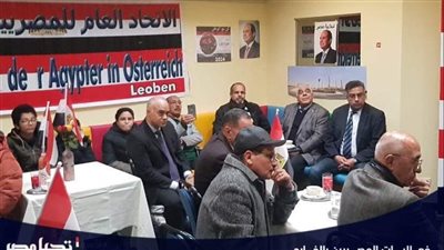 حملة السيسي الانتخابية تكشف تفاصيل مؤتمرات المصريين بالخارج لدعم المرشح الرئاسي