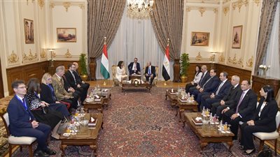  الأزمة الفلسطينية تتصدر المناقشات، تفاصيل لقاء حنفي جبالي مع رئيسة المجر