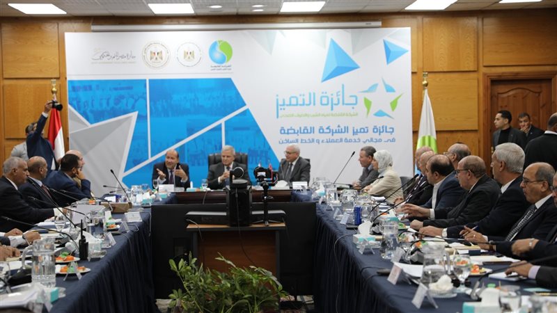 جائزة مصر للتميز
