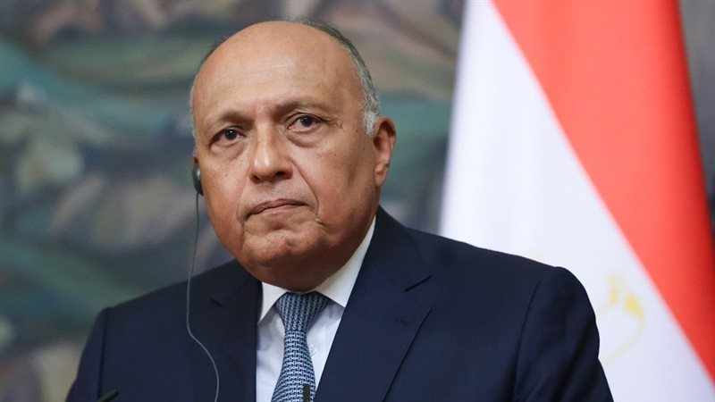 سامح شكرى وزير الخارجية،