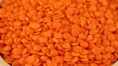 سعر كيلو العدس، أسعار العدس اليوم الثلاثاء 5-12-2023 في الأسواق