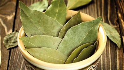 فوائد ورق الجوافة، يقوى المناعة ويعالج نزلات البرد والأنفلونزا 