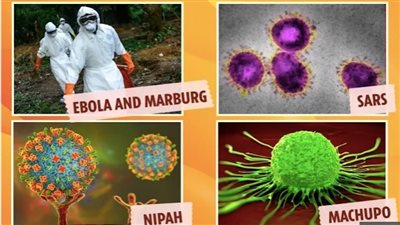 الخطر قادم من خفاش وفأر وخنزير، 4 فيروسات تسبب الوباء الجديد