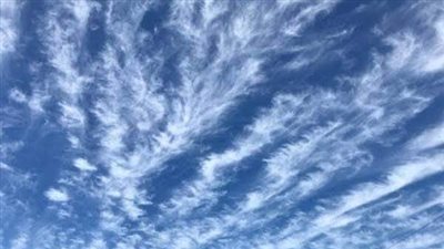 الريش المدارى يزين سماء القاهرة